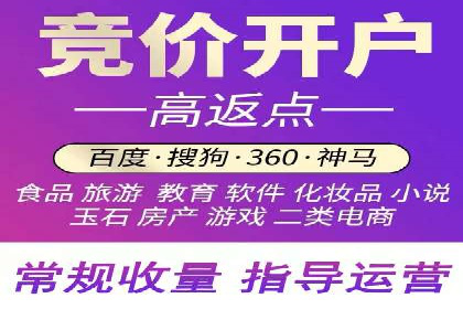 竞价广告赚钱案例：从新手到专家